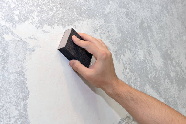Best Mold Prevention Services  in Whiting, WI