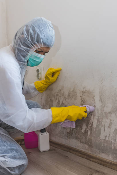 Best Industrial Mold Remediation  in Whiting, WI