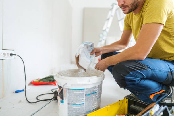 Best Mold Odor Removal Services  in Whiting, WI