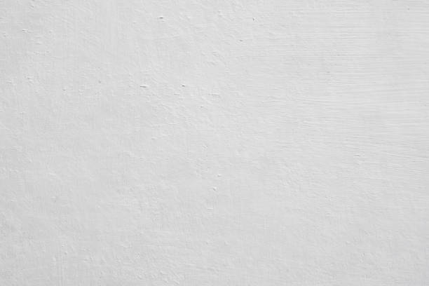 Mold Documentation for Insurance Claims in Whiting, WI