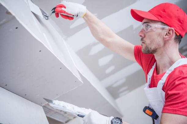 Trusted Whiting, WI Mold Removal Experts