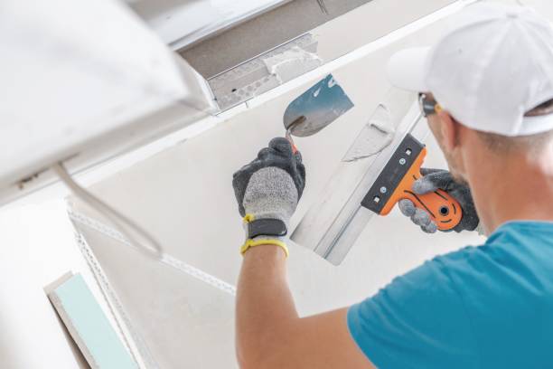 Best Attic Mold Removal  in Whiting, WI